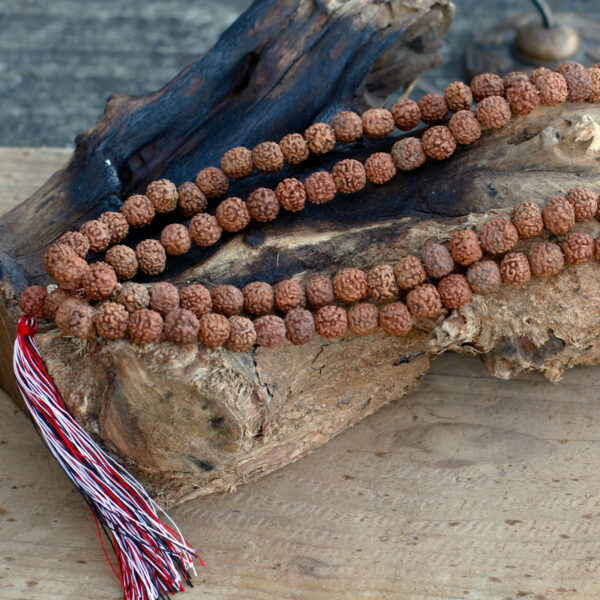 108 Rudraksha Japa Mala - Natural