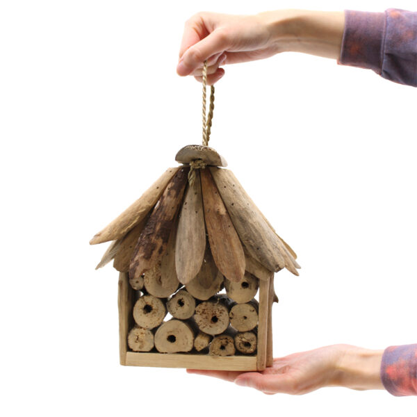 Driftwood Bee & Insect Box