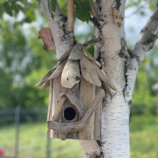 Casa de Pájaros Madera de Balsa - Para Colgar de Pared