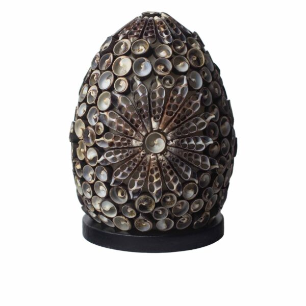 Lámpara Boho Sea Shell - Chocolate Twist Ovalada - 15cm